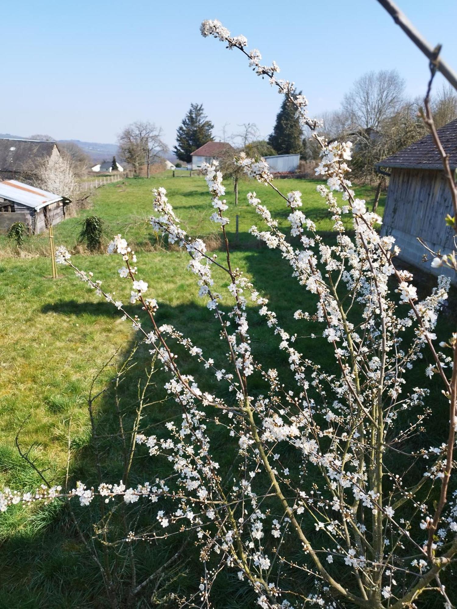 Chalet Des Roches Roche D'Oetre Suisse Normande Saint-Philbert-sur-Orne Екстериор снимка